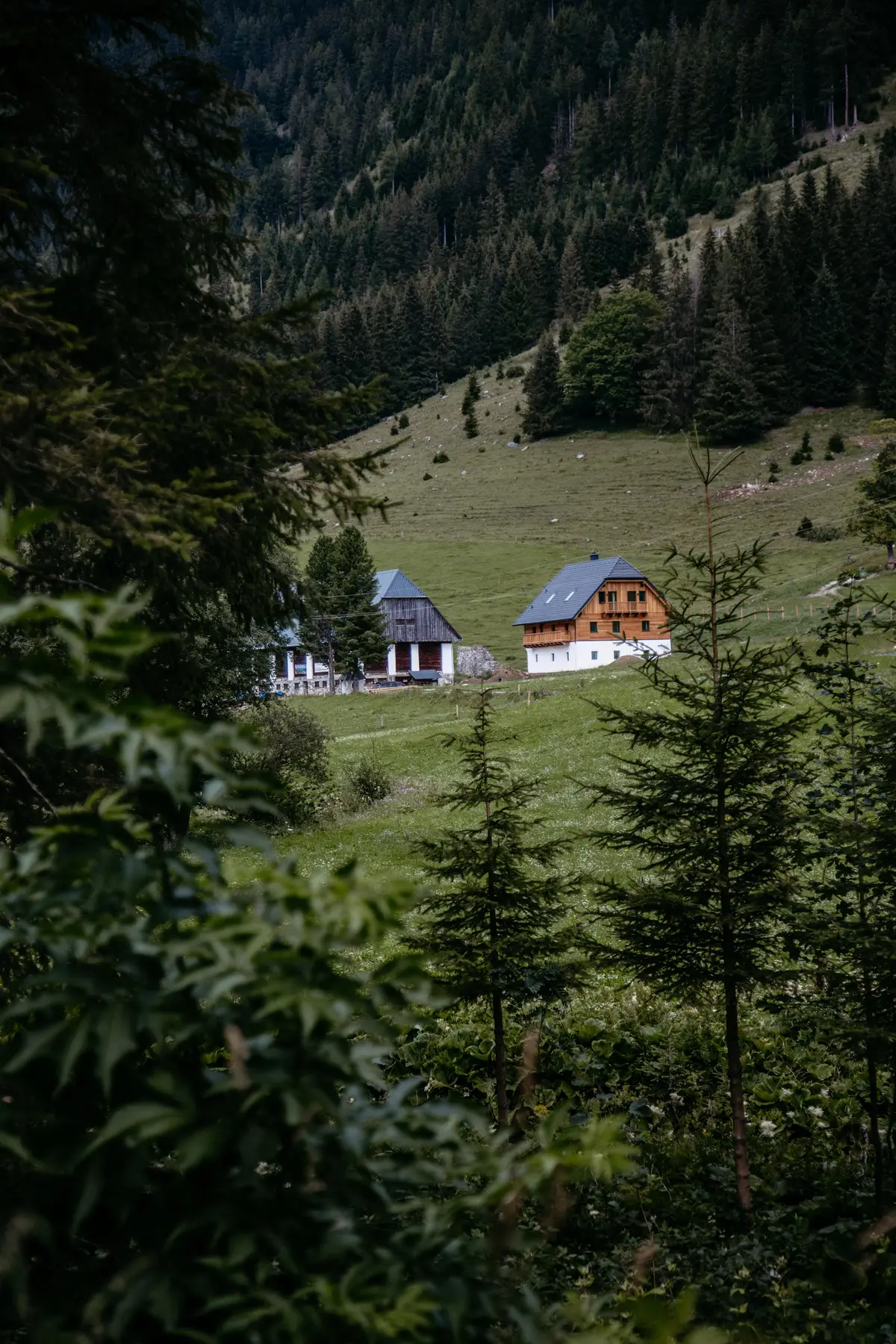 Detox Almhaus Summer 2026