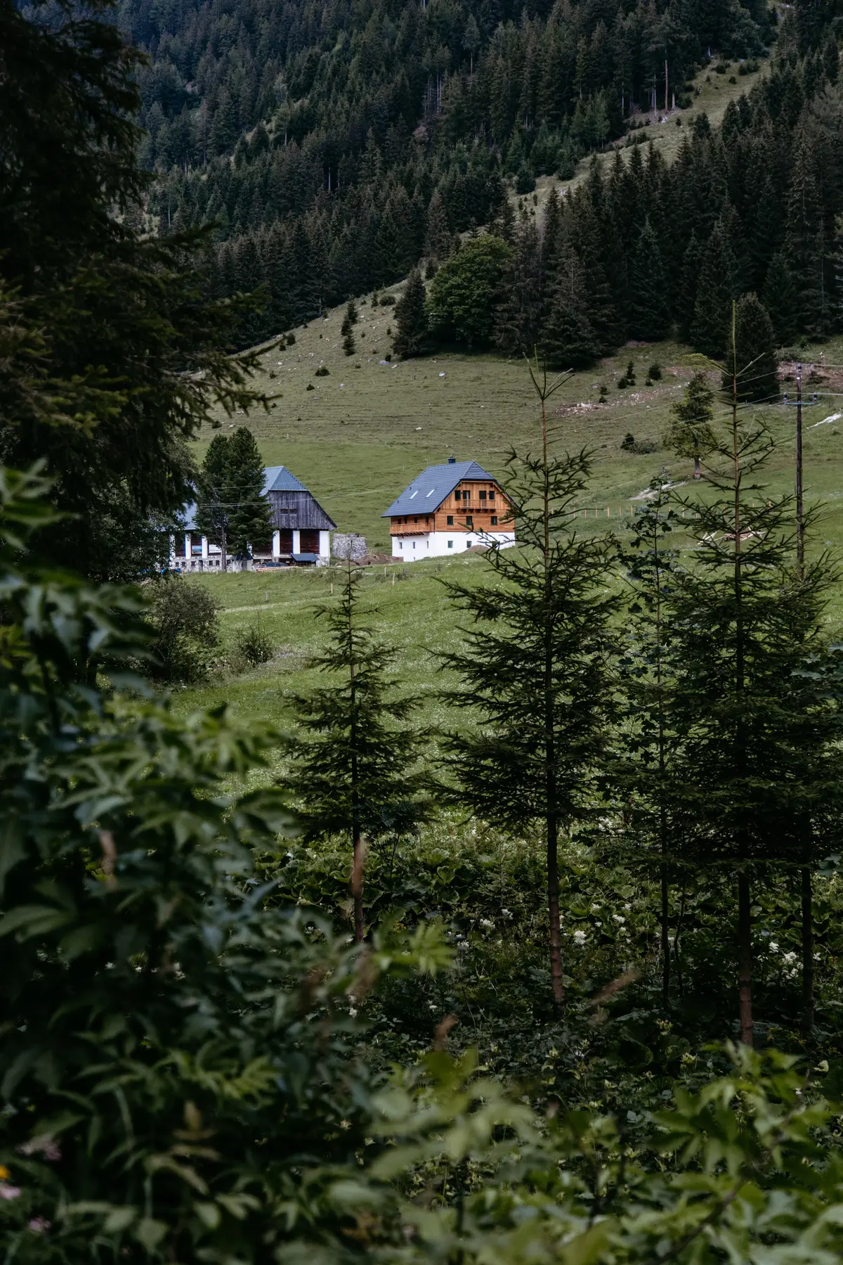 Detox Almhaus Summer 2026