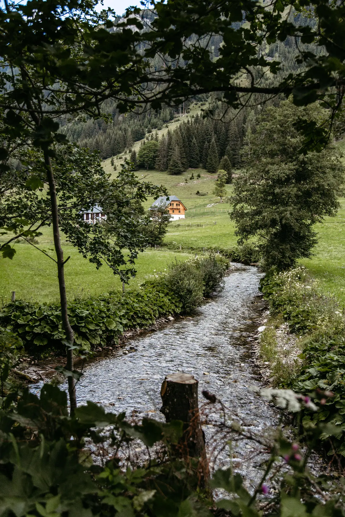 Detox Almhaus Summer 2026