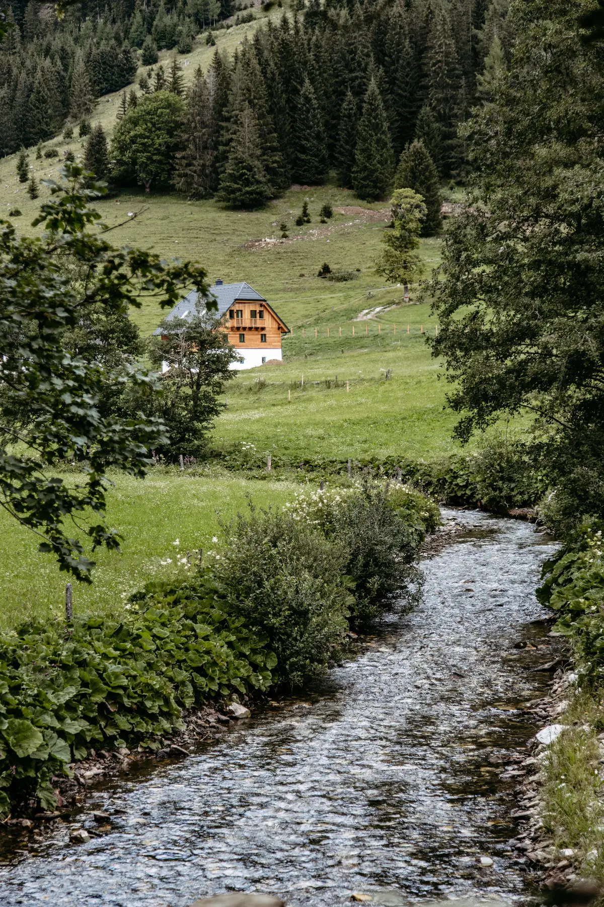 Detox Almhaus Summer 2026