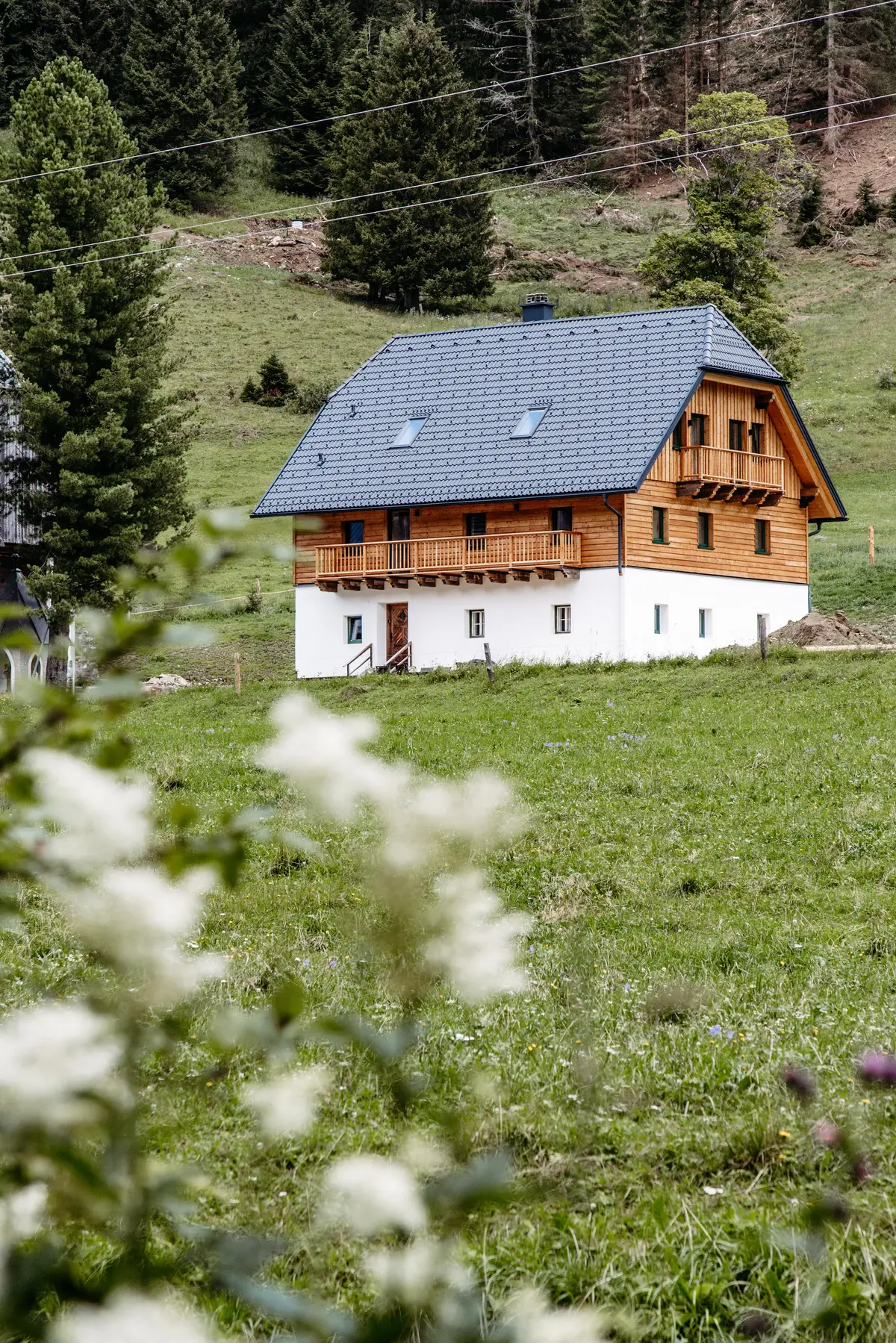 Detox Almhaus Summer 2026