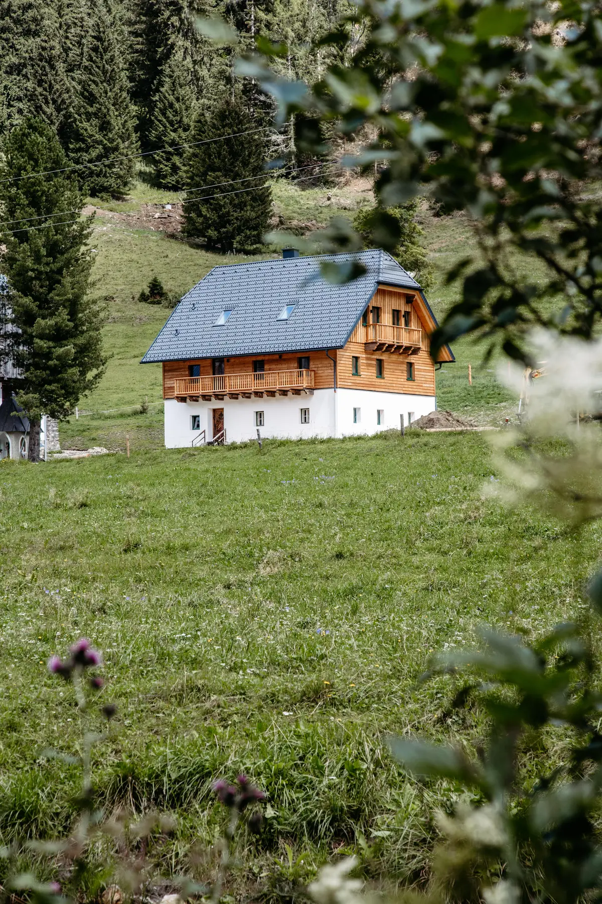 Detox Almhaus Summer 2026