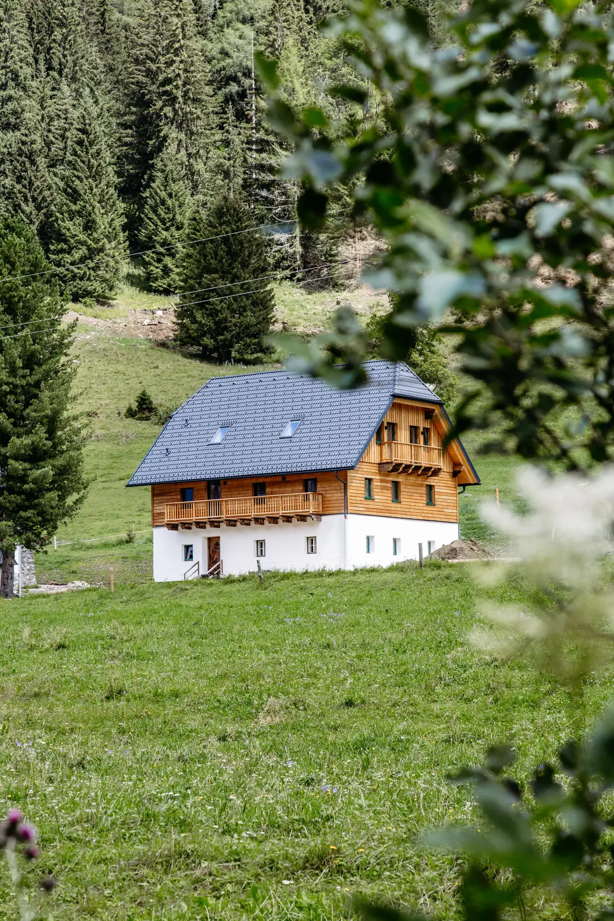 Detox Almhaus Summer 2026
