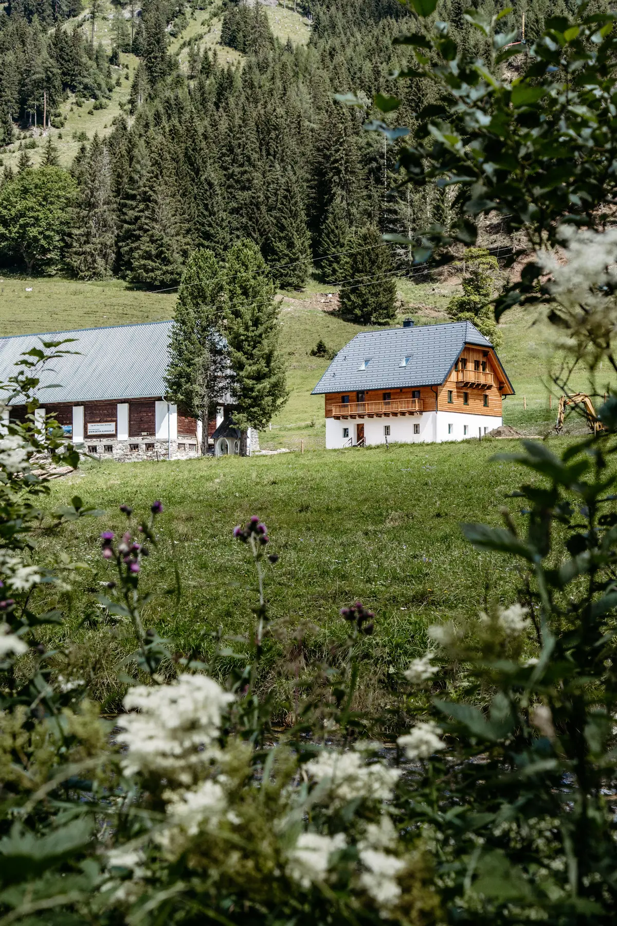 Detox Almhaus Summer 2026
