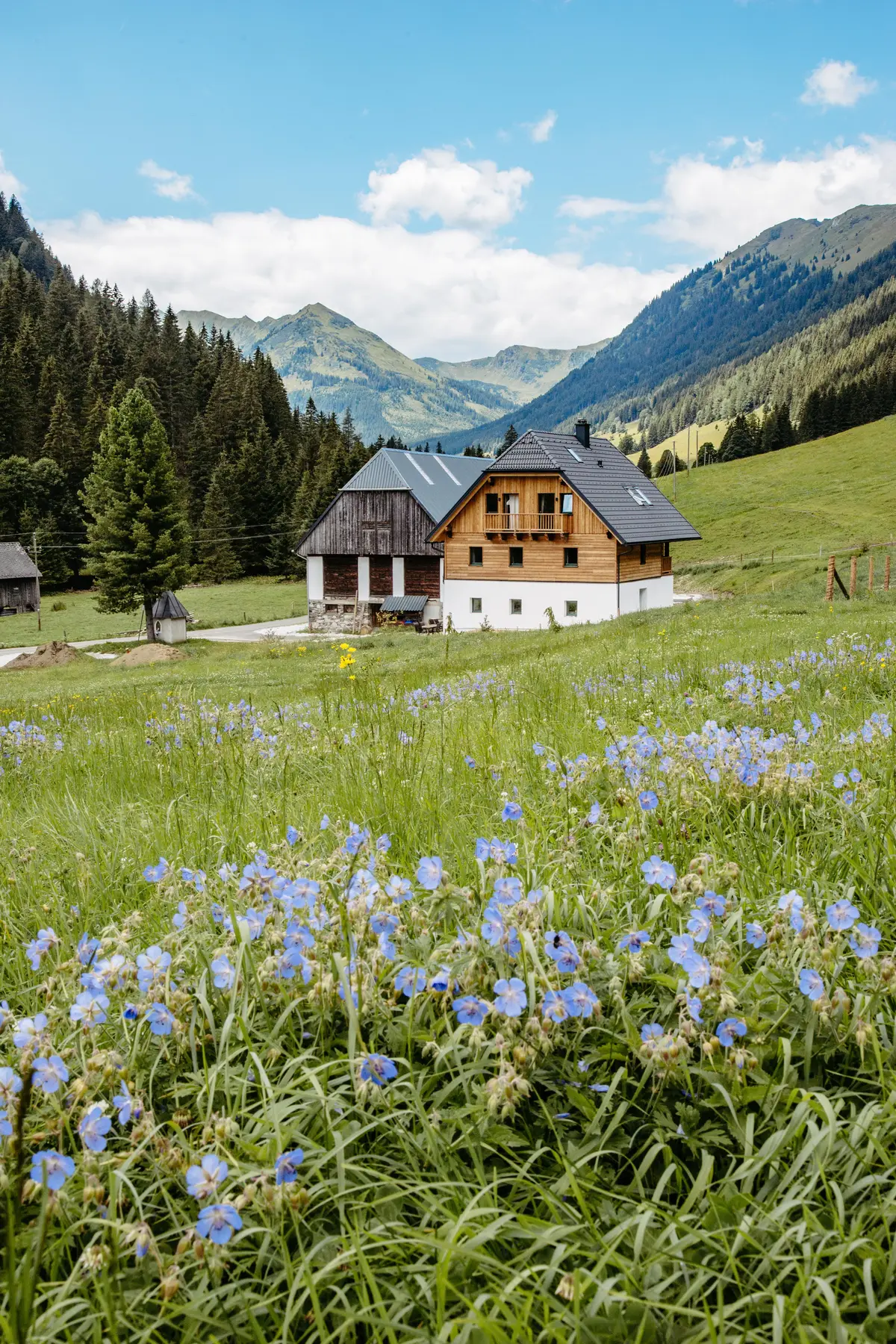 Detox Almhaus Summer 2026