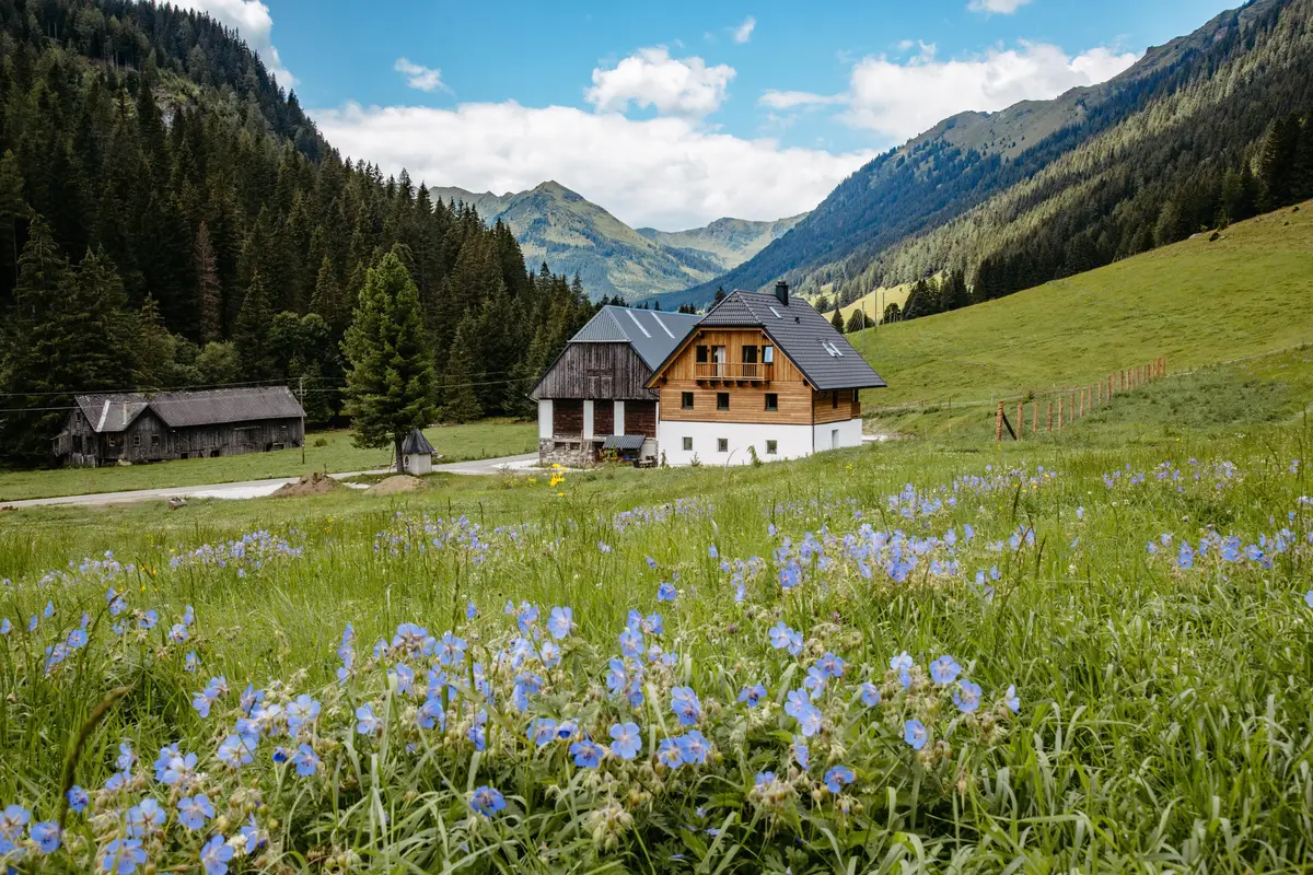 Detox Almhaus Summer 2026