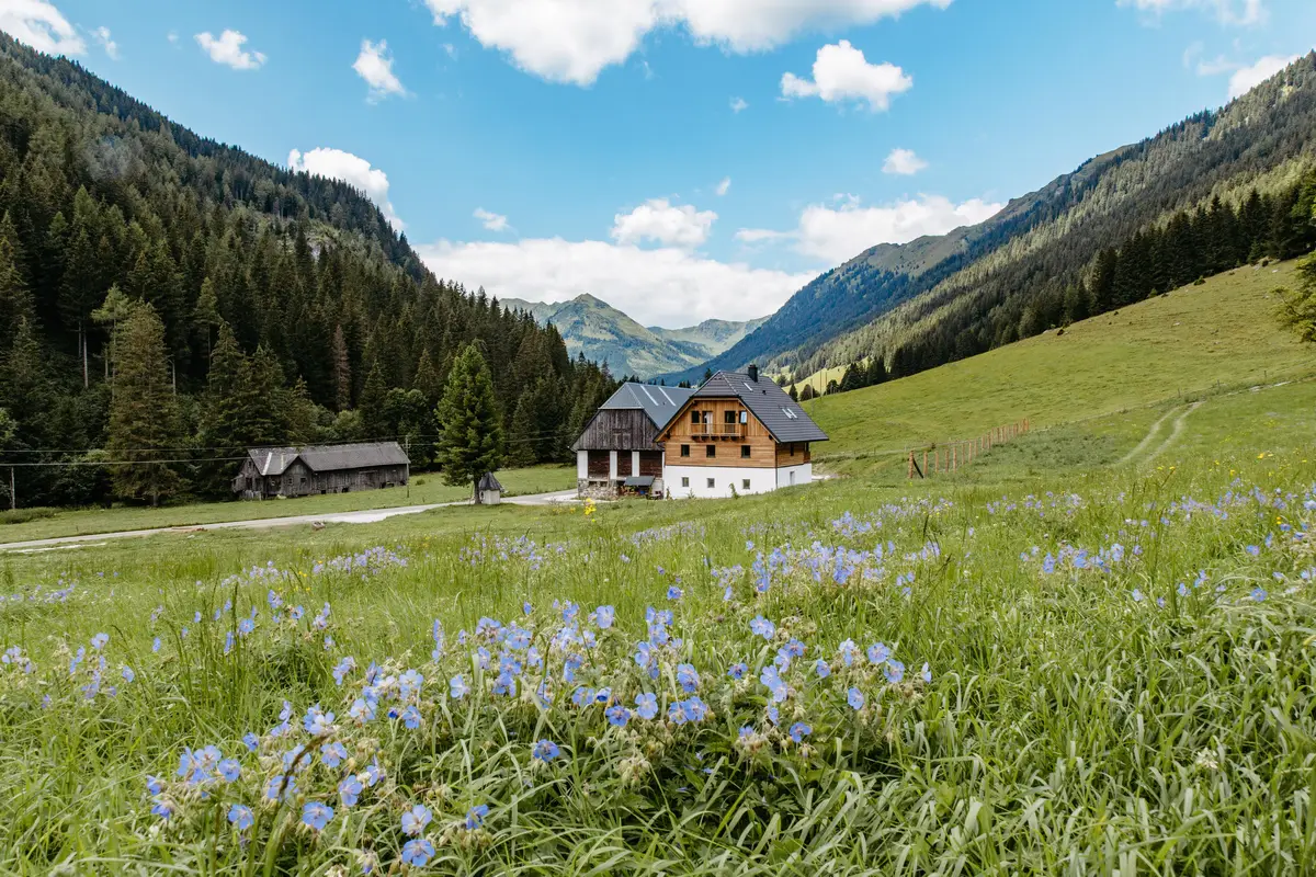Detox Almhaus Summer 2026