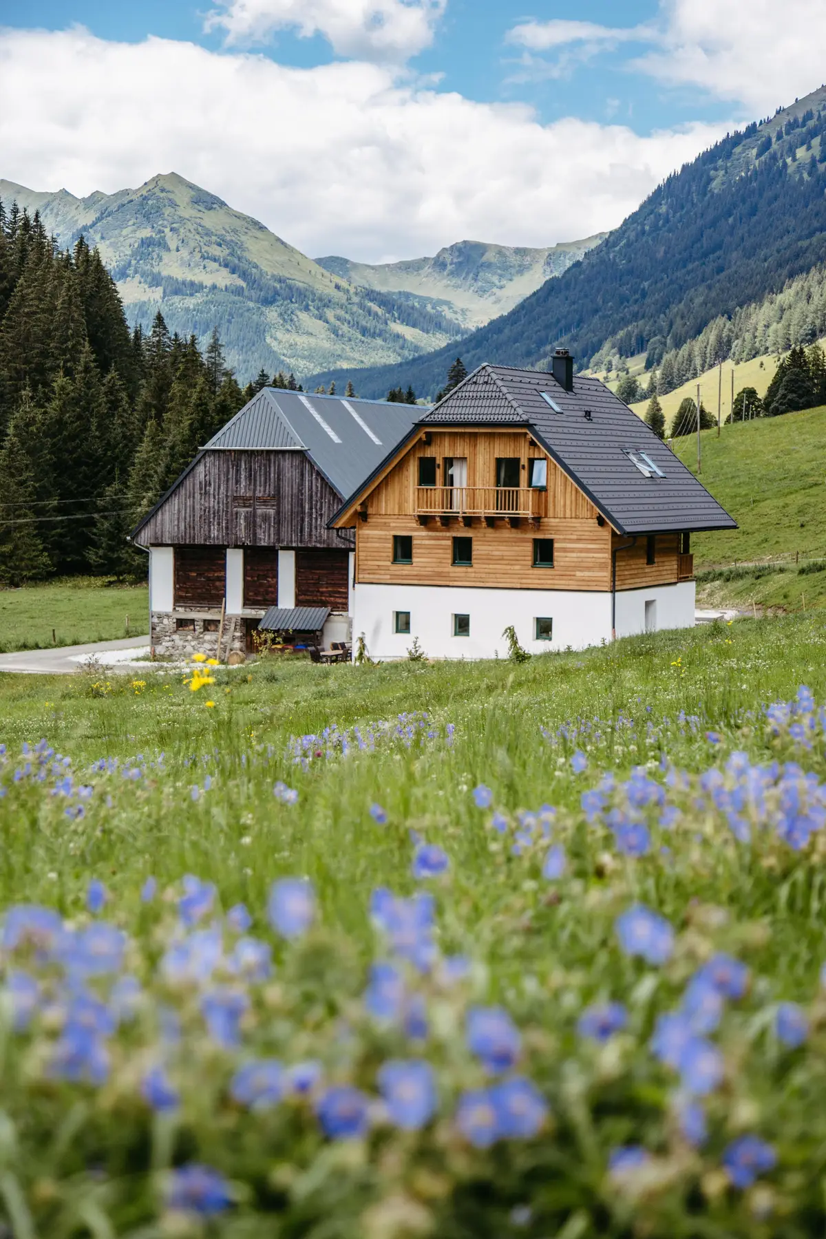 Detox Almhaus Sommer 2026