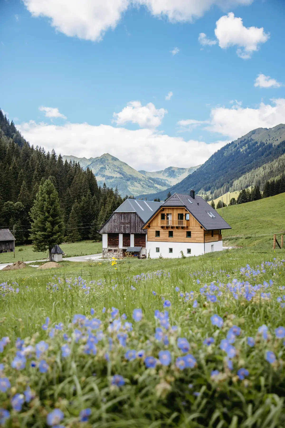 Detox Almhaus Summer 2026