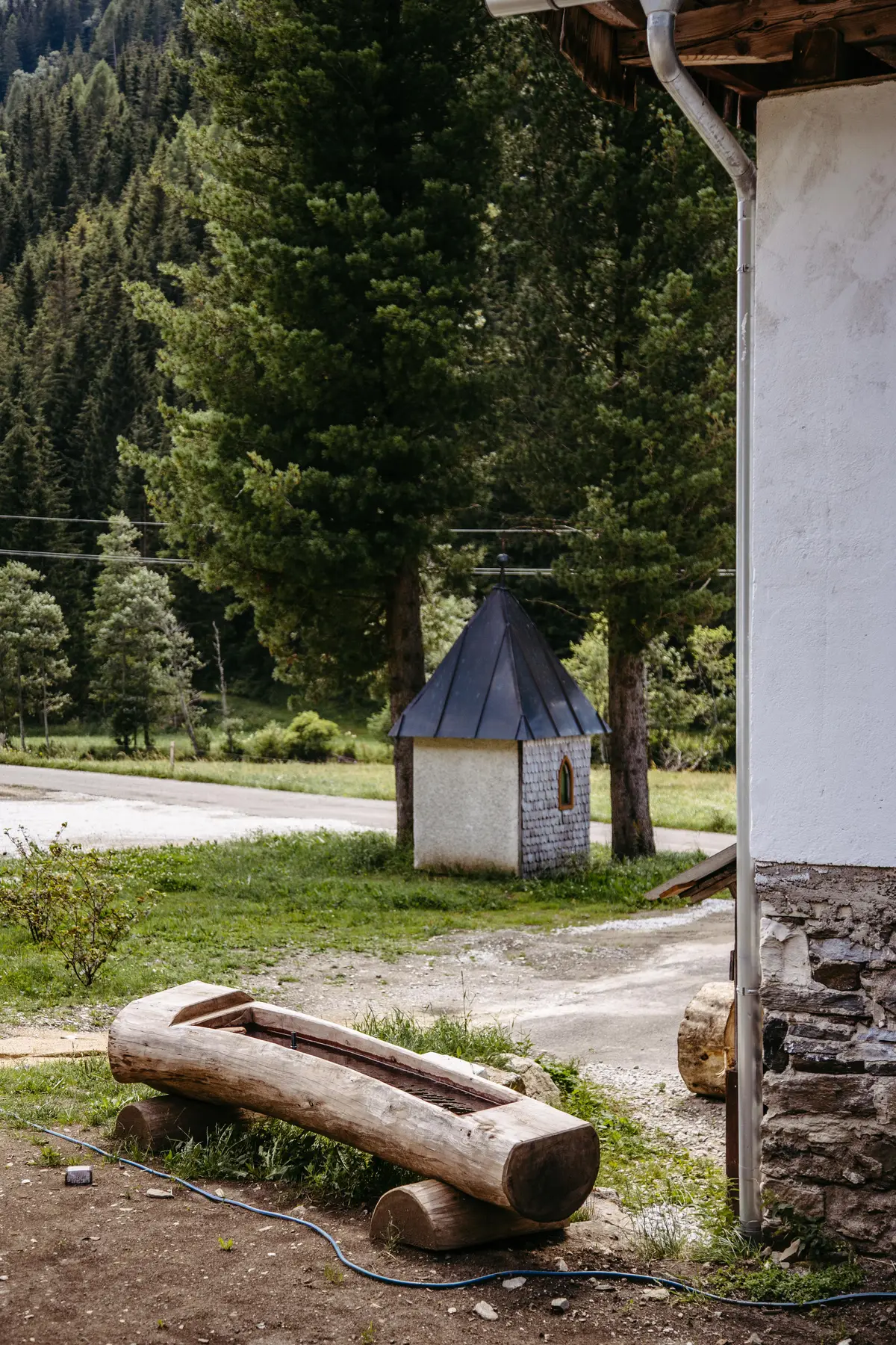 Detox Almhaus Sommer 2026