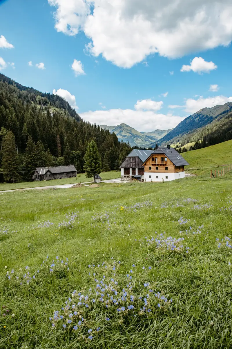Detox Almhaus