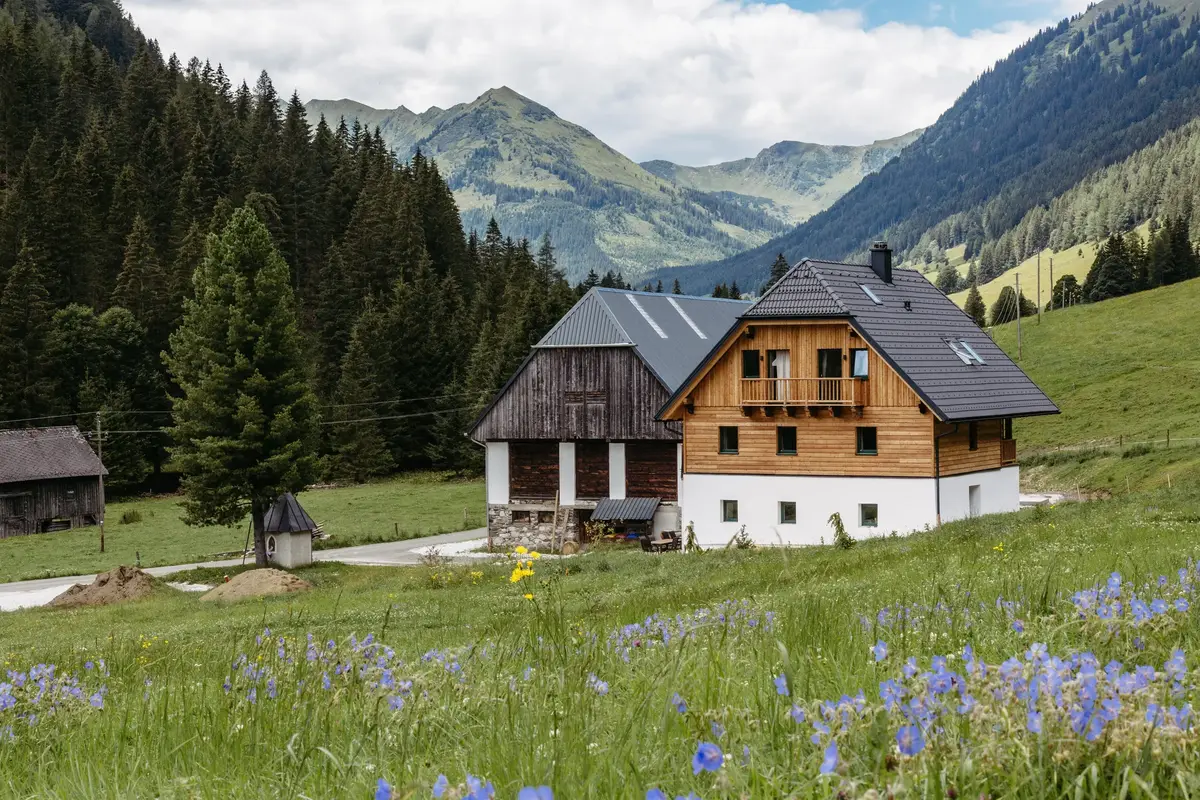 Almhaus · Blumenwiese
